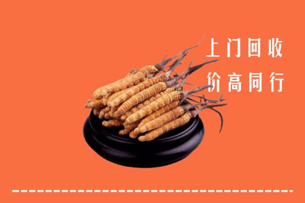 高价求购：岳阳回收散虫草