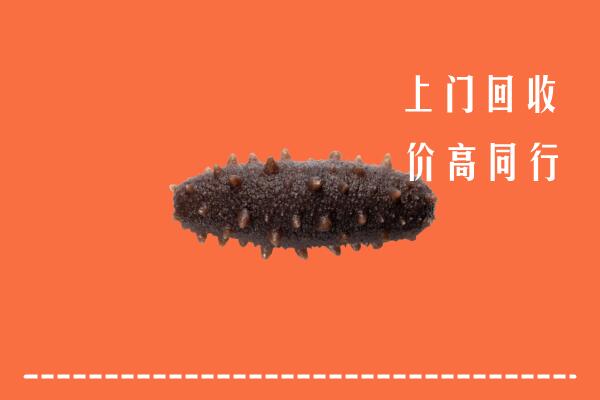 高价求购：岳阳回收海参