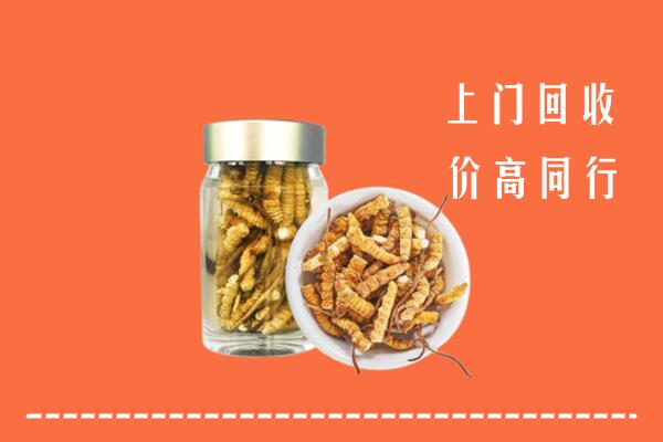 岳阳回收冬虫夏草